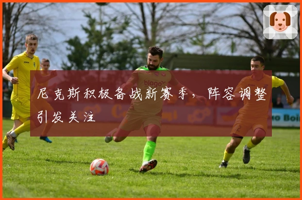 尼克斯积极备战新赛季，阵容调整引发关注